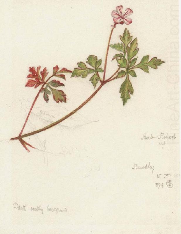 Plant Study, Joseph E.Southall